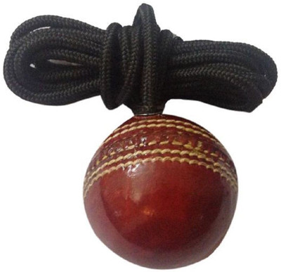 

QUINERGYS ™ Champion's Professional Series knocking / hanging / Practice Hanging Cricket Ball Cricket Bat Mallet Cricket Training Ball(Pack of 1, Red)