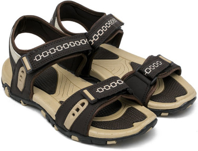 

WILTECH Men Brown Beige Sandals