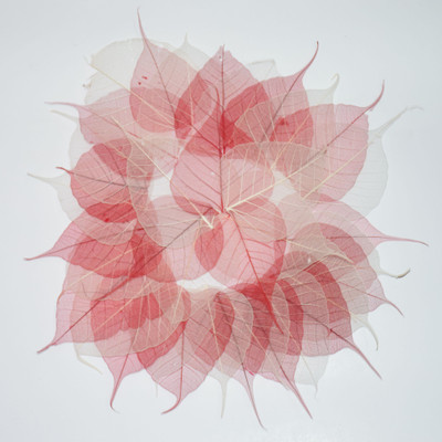 

CRAFTWAFT FLORAL LEAVES