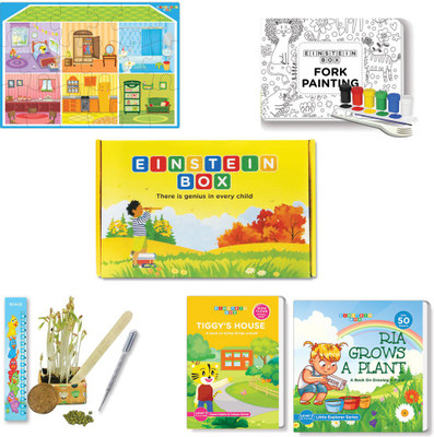 

Einstein Box for 3 Year Old Baby Boys and Girls, Learning and Educational Gift Pack of Toys and Books(Multicolor)
