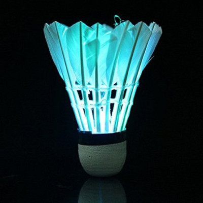 

QUINERGYS ® Dark Night LED Light New Sport LED Badminton Shuttlecock Birdies On/Off Switch Feather Shuttle - White(Medium slow, 76, Pack of 1)