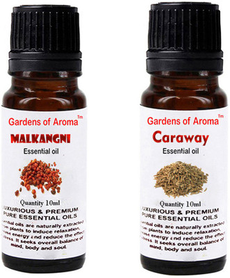 

Gardens Of Aroma Malkangani Essential Oil And Caraway Essential Oil(20 ml)
