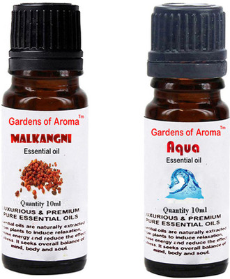 

Gardens Of Aroma Malkangani Essential Oil And Aqua Essential Oil(20 ml)
