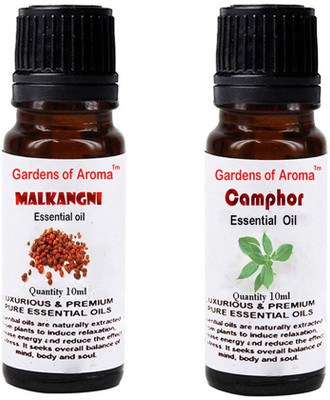 

Gardens Of Aroma Malkangani Essential Oil And Camphor Essential Oil(20 ml)