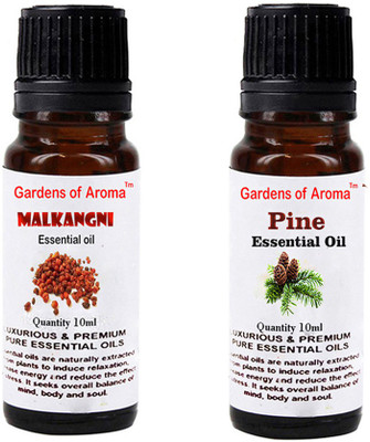 

Gardens Of Aroma Malkangani Essential Oil And Pine Essential Oil(20 ml)