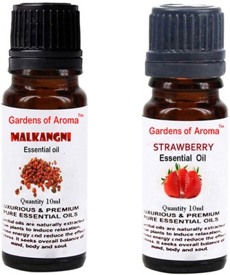 

Gardens Of Aroma Malkangani Essential Oil And Strawberry Essential Oil(20 ml)