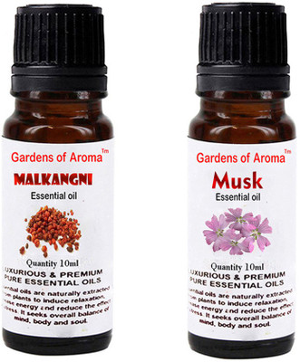 

Gardens Of Aroma Malkangani Essential Oil And Musk Essential Oil(20 ml)