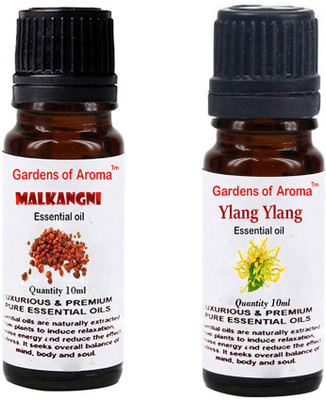 

Gardens Of Aroma Malkangani Essential Oil And Ylang Ylang Essential Oil(20 ml)