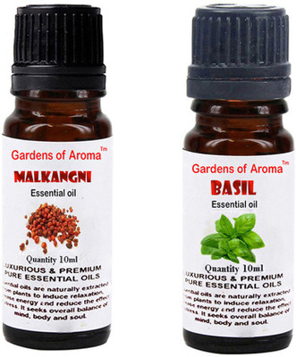 

Gardens Of Aroma Malkangani Essential Oil And Basil Essential Oil(20 ml)