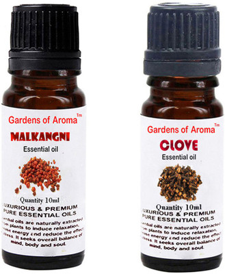 

Gardens Of Aroma Malkangani Essential Oil And Clove Essential Oil(20 ml)