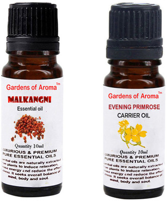 

Gardens Of Aroma Malkangani Essential Oil And Evening primrose Carrier Oil(20 ml)
