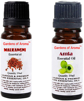 

Gardens Of Aroma Malkangani Essential Oil And Amla Essential Oil(20 ml)