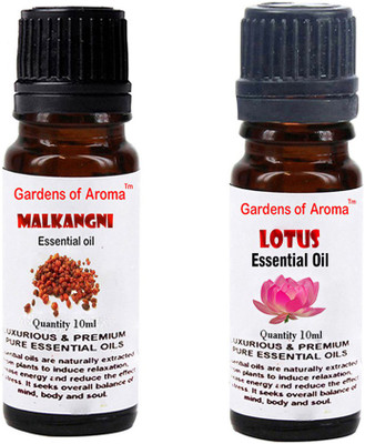 

Gardens Of Aroma Malkangani Essential Oil And Lotus Essential Oil(20 ml)