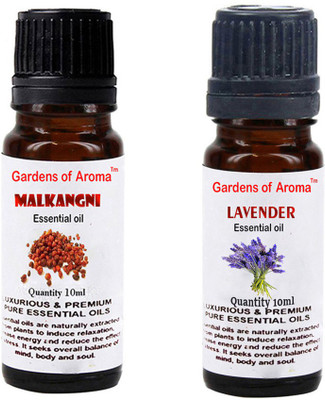 

Gardens Of Aroma Malkangani Essential Oil And Lavender Essential Oil(20 ml)
