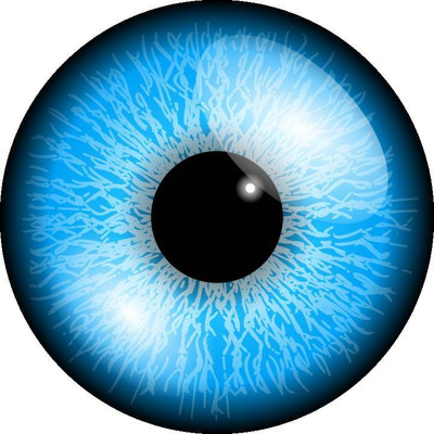 

TruOm Blue Monthly Contact Lens(0, Blue, Pack of 1)