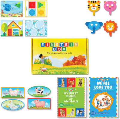 

Einstein Box for 1 Year Old Baby Boys and Girls, Learning and Educational Gift Pack of Toys and Books(Multicolor)