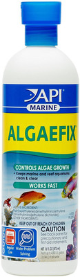 

API Internal Anti-fungal Medication Liquid(2 ml)