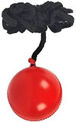 

Comex AB1 Cricket Leather Ball(Pack of 1, Red)
