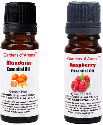 

Gardens Of Aroma Mandarin Essential Oil And Raspberry Essential Oil(20 ml)