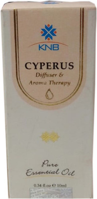 

KNB Vetiver Essential Oil(10)
