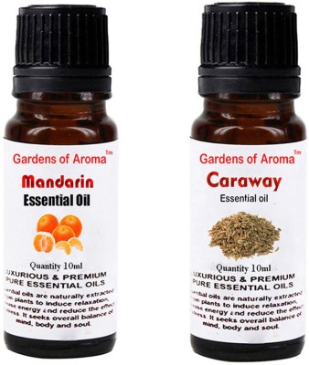 

Gardens Of Aroma Mandarin Essential Oil And Caraway Essential Oil(20 ml)