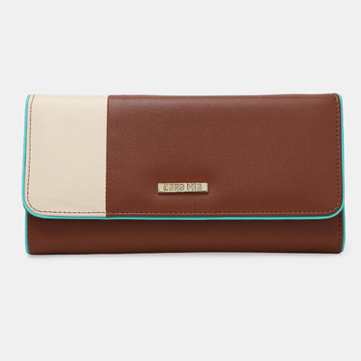 

Cara Mia Casual Multicolor Clutch
