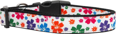 

Mirage Pet Products Dog Everyday Collar(, Multicolor