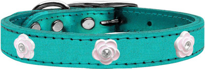 

Mirage Pet Products Dog Everyday Collar(, Blue