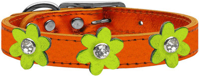

Mirage Pet Products Dog Everyday Collar(, Orange