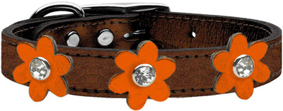 

Mirage Pet Products Dog Everyday Collar(, Brown