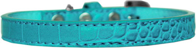 

Mirage Pet Products Dog Everyday Collar(, Blue