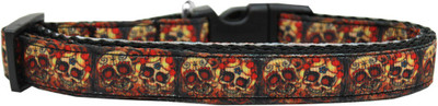

Mirage Pet Products Dog Everyday Collar(, Multicolor