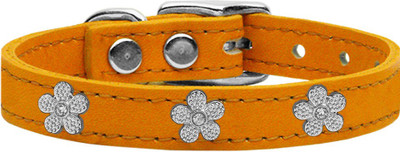 

Mirage Pet Products Dog Everyday Collar(, Orange