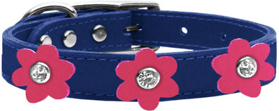 

Mirage Pet Products Dog Everyday Collar(, Blue
