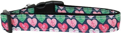 

Mirage Pet Products Dog Everyday Collar(, Multicolor