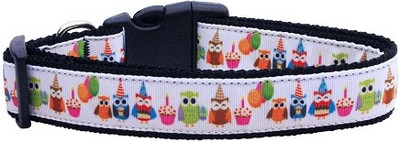 

Mirage Pet Products Dog Everyday Collar(, Multicolor