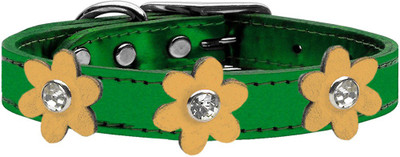 

Mirage Pet Products Dog Everyday Collar(, Green