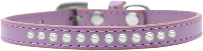 

Mirage Pet Products Dog Everyday Collar(, Purple
