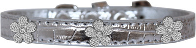 

Mirage Pet Products Dog Everyday Collar(, Silver