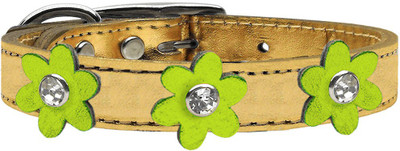

Mirage Pet Products Dog Everyday Collar(, Gold
