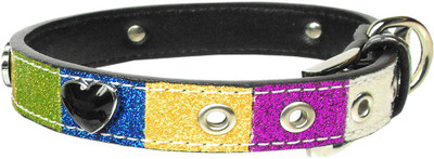 

Mirage Pet Products Dog Everyday Collar(, Multicolor