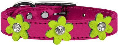 Mirage Pet Products Dog Everyday Collar(, Pink