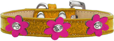 

Mirage Pet Products Dog Everyday Collar(, Gold