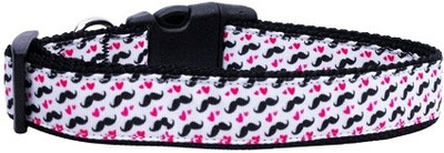 

Mirage Pet Products Dog Everyday Collar(, Multicolor