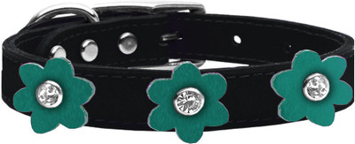 

Mirage Pet Products Dog Everyday Collar(, Black
