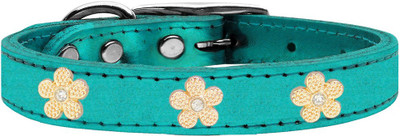 

Mirage Pet Products Dog Everyday Collar(, Blue
