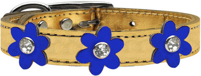 

Mirage Pet Products Dog Everyday Collar(, Gold