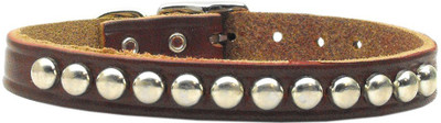

Mirage Pet Products Dog Everyday Collar(, Brown