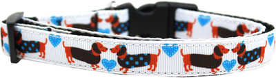 

Mirage Pet Products Dog Everyday Collar(, Multicolor