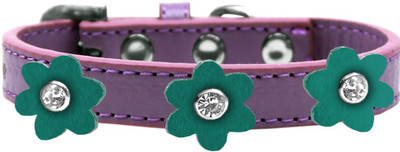 

Mirage Pet Products Dog Everyday Collar(, Purple